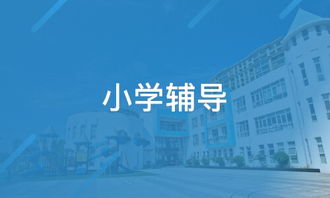點夢教育信息咨詢與淘學培訓綜合評測